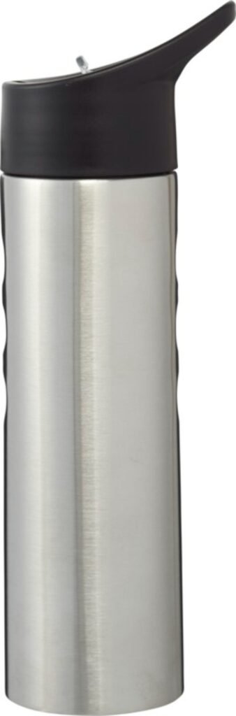 Trixie 750 ml Sportflasche Edelstahl Silber